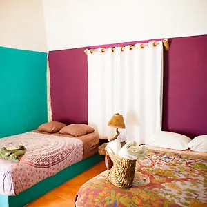 nacional-beach-club-bungalows.quintano-roohotels.com/